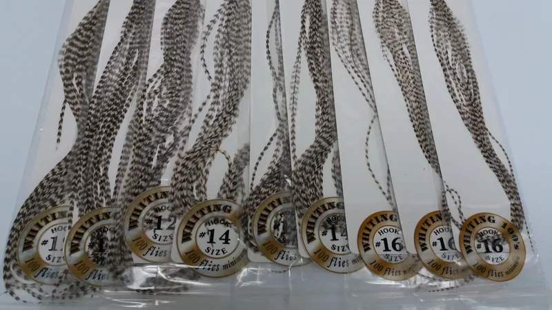 Whiting 100 Saddle Hackle Pack in Grizzly-2